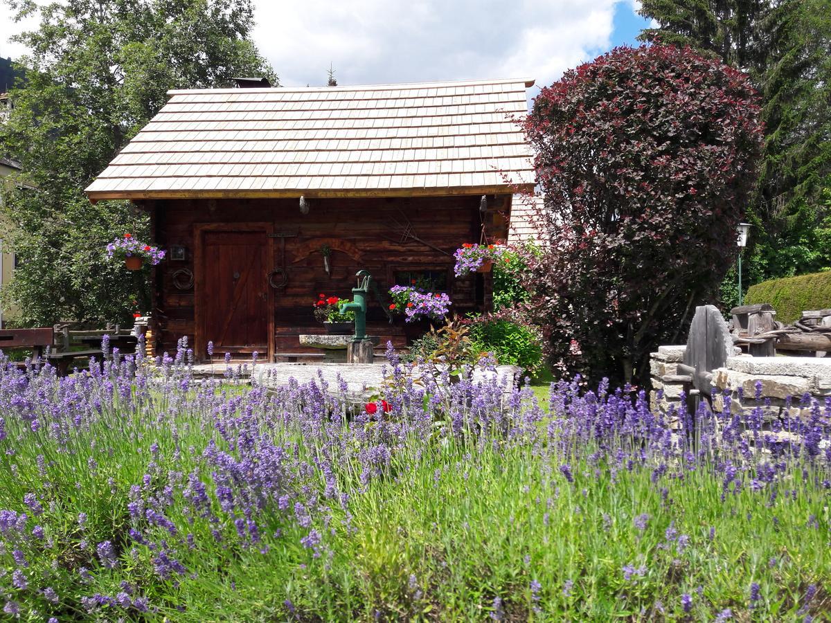 Hotel Stegmühlhof Mauterndorf  Exterior foto